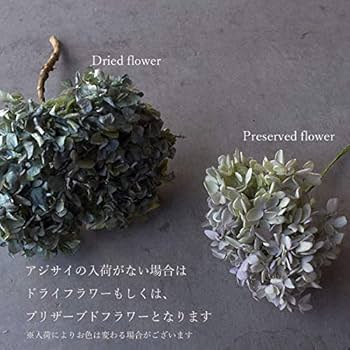 創作ウィンタースワッグ　ボタニカル＆ベル 創作ウィンタースワッグ ボタニカル＆ベル
